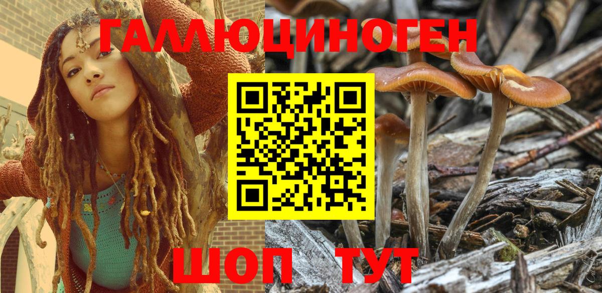 Галлюциногенные грибы MAGIC MUSHROOMS  Вход с VPN  наркошоп  Моздок 