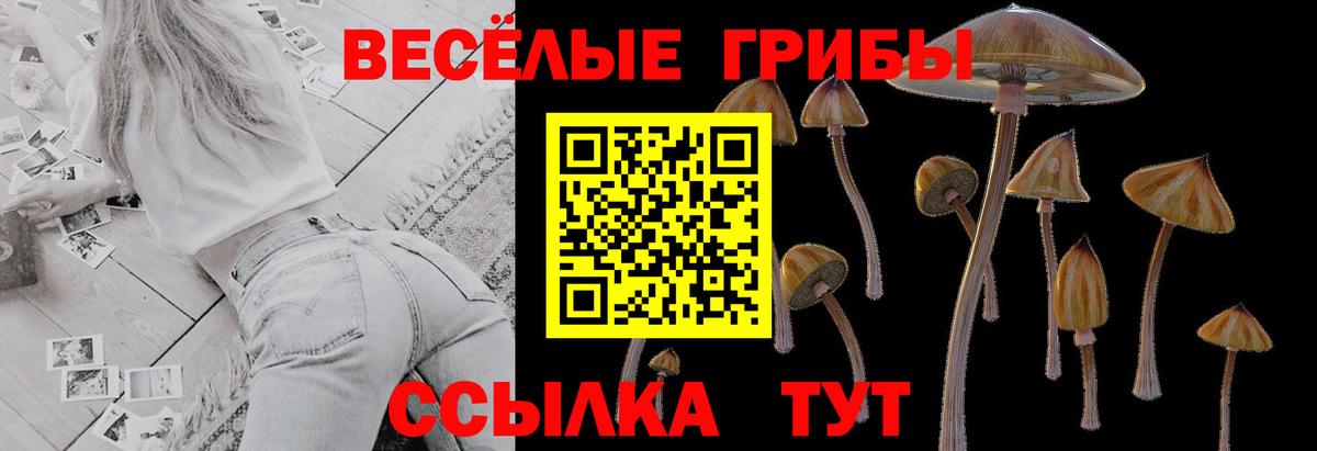 Псилоцибиновые грибы MAGIC MUSHROOMS Моздок